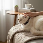 COLLIER CHAT Anti-étranglement - PAISLEY - IMPERMÉABLE