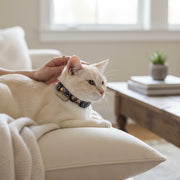COLLIER CHAT Anti-étranglement - PAISLEY - IMPERMÉABLE