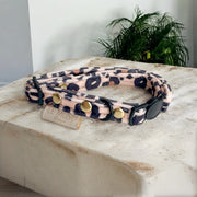 COLLIER CHAT Anti-étranglement - SAUVAGE - VELOURS