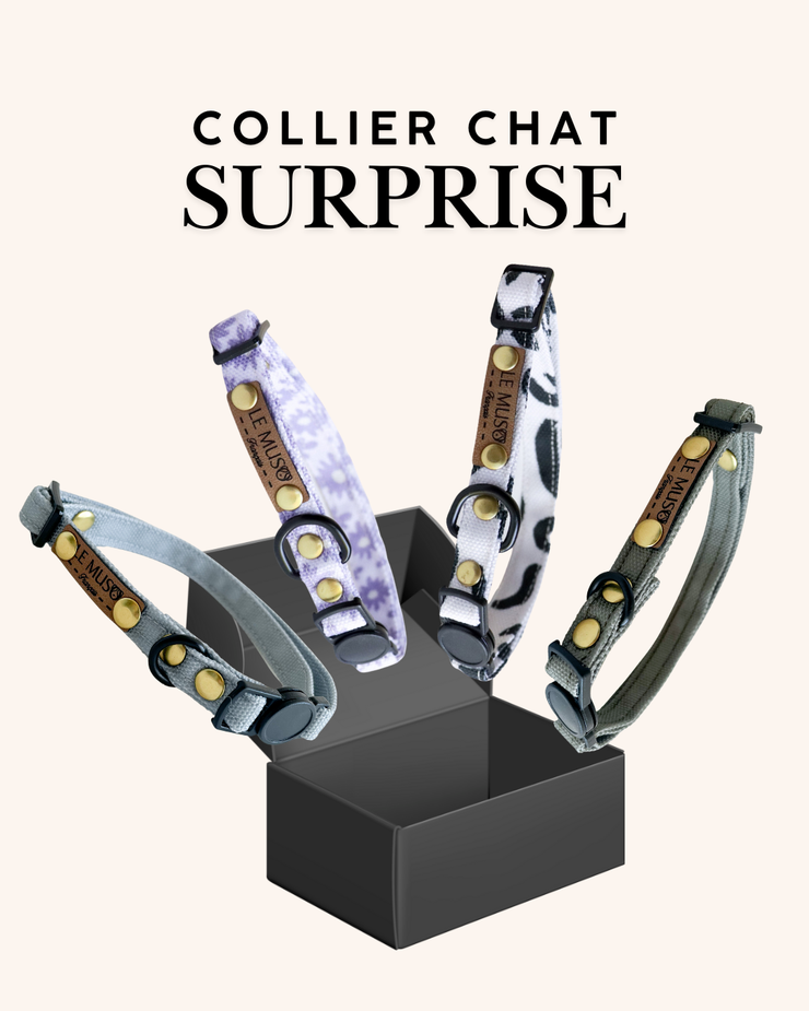 COLLIER SURPRISE CHAT