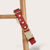 BIOTHANE® CLIP DOG COLLARS