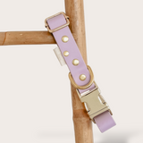 BIOTHANE® CLIP DOG COLLARS