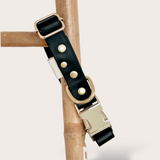 BIOTHANE® CLIP DOG COLLARS