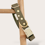 BIOTHANE® CLIP DOG COLLARS