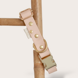 BIOTHANE® CLIP DOG COLLARS