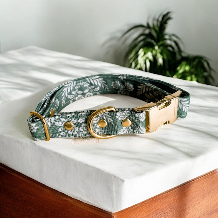 COLLIER CHIEN - PAISLEY - IMPERMÉABLE
