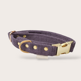 COLLIER CHIEN VELOURS CÔTELÉ - MAUVE