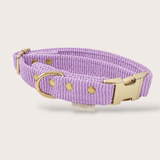COLLIER CHIEN VELOURS CÔTELÉ - LILAS
