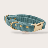 COLLIER CHIEN VELOURS CÔTELÉ - TURQUOISE