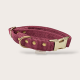 VELVET CLIP DOG COLLAR