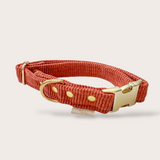 COLLIER CHIEN VELOURS CÔTELÉ - TERRACOTTA