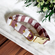 COLLIER CHIEN - RAYURES - IMPERMÉABLE