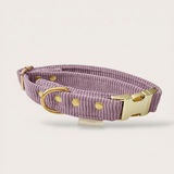 COLLIER CHIEN VELOURS CÔTELÉ - MAUVE