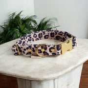 COLLIER CHIEN - SAUVAGE - VELOURS
