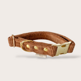 COLLIER CHIEN VELOURS CÔTELÉ - CAMEL