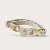 COLLIER CHIEN VELOURS CÔTELÉ - ÉCRU