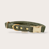 COLLIER CHIEN VELOURS CÔTELÉ - KAKI