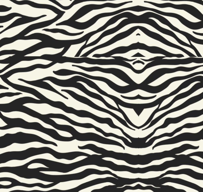 MANTEAU POUR CHIEN IMPERMÉABLE - SAUVAGE