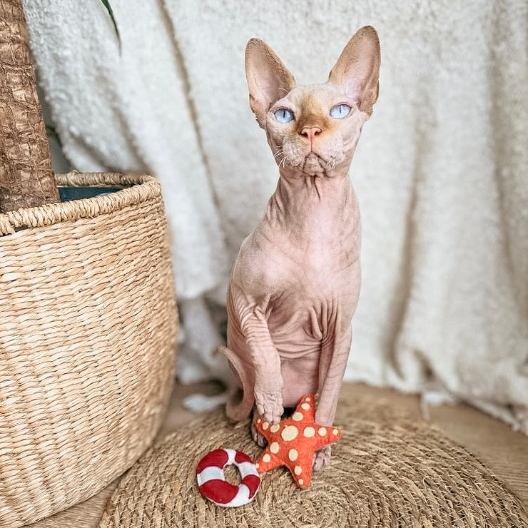 JOUETS POUR CHAT EN FEUTRINE