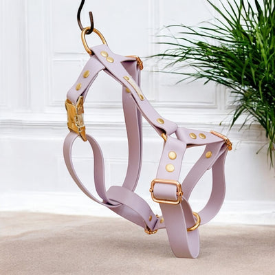 HARNAIS BIOTHANE® CHIEN DE FORME Y Attache Clip