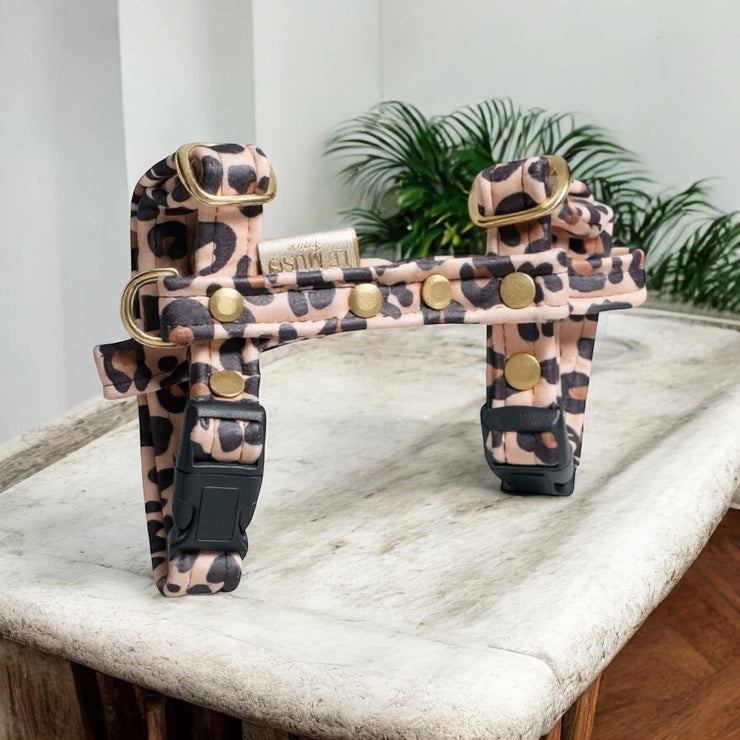 HARNAIS CHAT - SAUVAGE - VELOURS