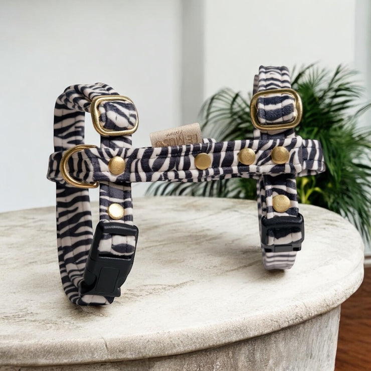HARNAIS CHAT - SAUVAGE - VELOURS