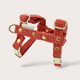 HARNAIS CHAT VELOURS CÔTELÉ TERRACOTTA