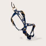 HARNAIS BIOTHANE® CHIEN BLEU-MARINE - Attache boucle