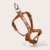 HARNAIS BIOTHANE® CHIEN CAMEL - Attache boucle