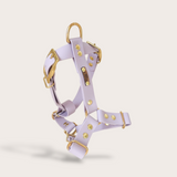 HARNAIS BIOTHANE® CHIEN LILAS - Attache boucle