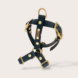 HARNAIS BIOTHANE® CHIEN NOIR - Attache boucle