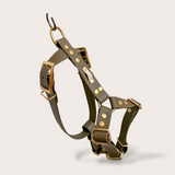 HARNAIS BIOTHANE® CHIEN OLIVE - Attache boucle