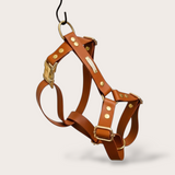 HARNAIS BIOTHANE® CHIEN CAMEL- Attache Clip