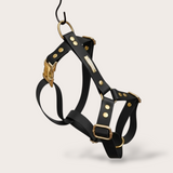 HARNAIS BIOTHANE® CHIEN NOIR - Attache Clip