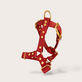 BIOTHANE® DOG HARNESS