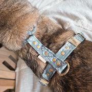 HARNAIS CHIEN - PAISLEY - IMPERMÉABLE