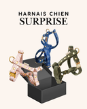 HARNAIS SURPRISE POUR CHIEN
