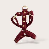 HARNAIS CHIEN VELOURS CÔTELÉ - BORDEAUX