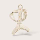 HARNAIS CHIEN VELOURS CÔTELÉ - ÉCRU