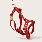 BIOTHANE® DOG HARNESS