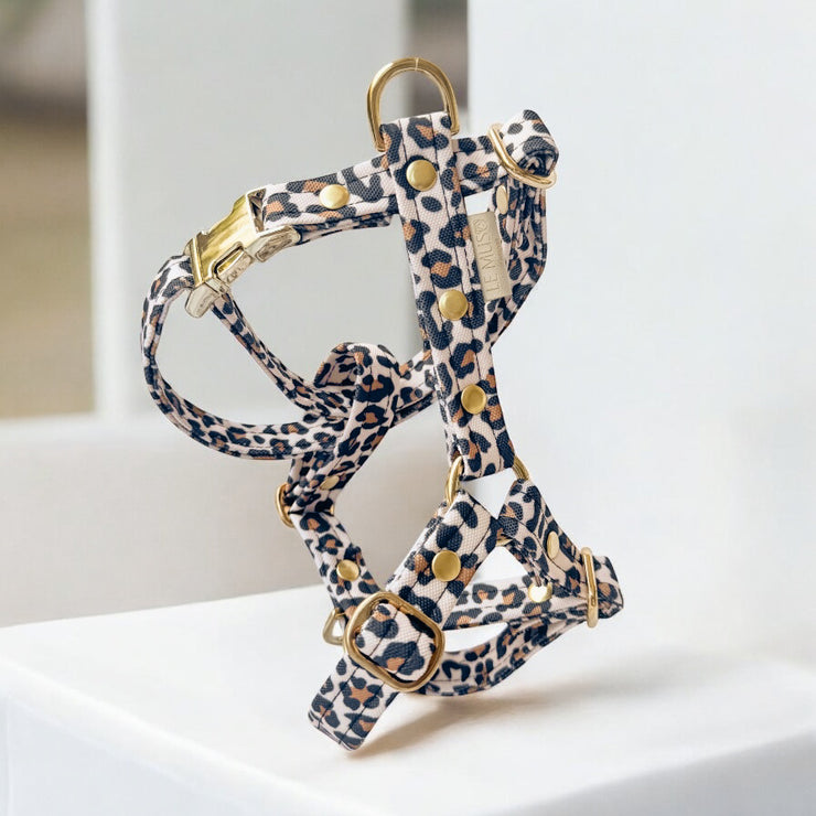DOG HARNESS - WATERPROOF LEOPARD