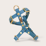 HARNAIS BIOTHANE® CHIEN BLEU PÉTROLE - Attache boucle