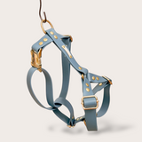 HARNAIS BIOTHANE® CHIEN BLEU PÉTROLE - Attache Clip