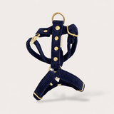 HARNAIS CHIEN VELOURS CÔTELÉ - BLEU-MARINE