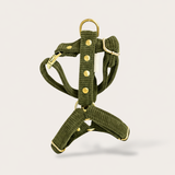 HARNAIS CHIEN VELOURS CÔTELÉ - KAKI