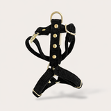 HARNAIS CHIEN VELOURS CÔTELÉ - NOIR