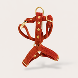 HARNAIS CHIEN VELOURS CÔTELÉ -TERRACOTTA