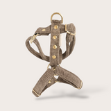 HARNAIS CHIEN VELOURS CÔTELÉ - TAUPE