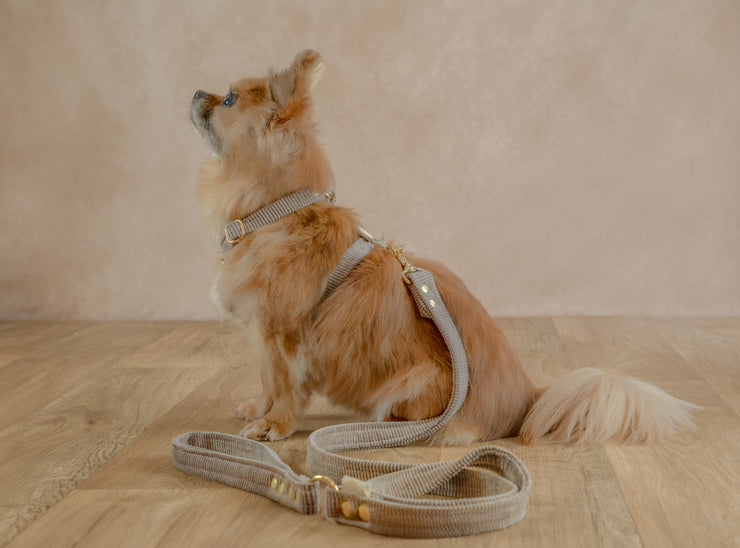 VELVET DOG HARNESS