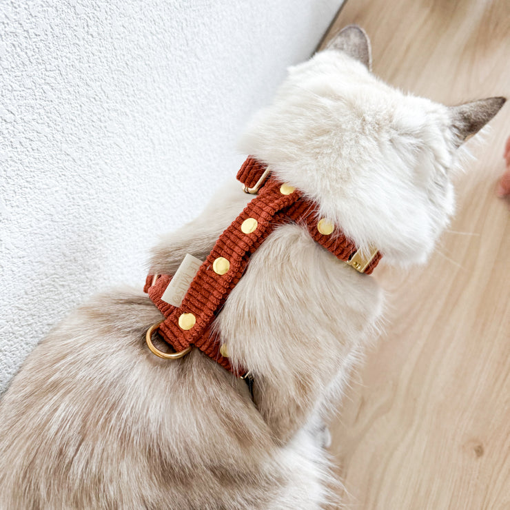 WINTER VELVET CAT HARNESS